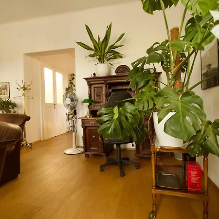 Villa Haag Apartment